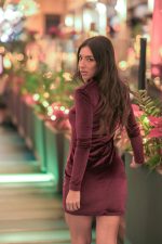 Red Wine Mini Velvet Dress